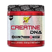 bsn creatine dna